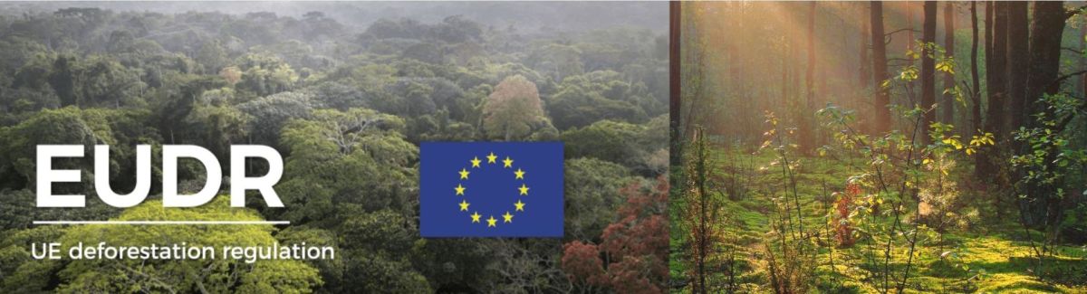 EUDR banner